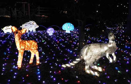 東武動物公園